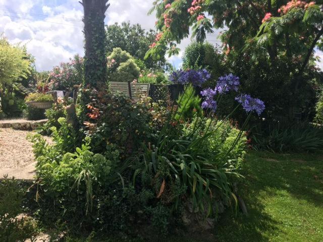 Bed and Breakfast Chez Brown Saint-Thomas-de-Cônac Zewnętrze zdjęcie