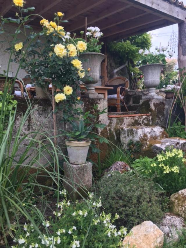 Bed and Breakfast Chez Brown Saint-Thomas-de-Cônac Zewnętrze zdjęcie